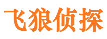 镇赉市私家侦探